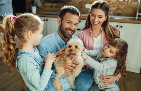 family petting dog 